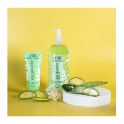 Gel Douche et Shampooing Aloe Vera du Mexique